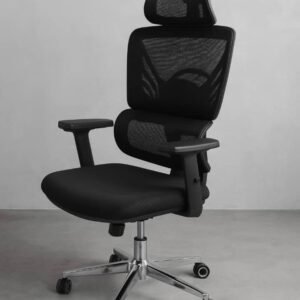 Chaise Ergonomique Extra