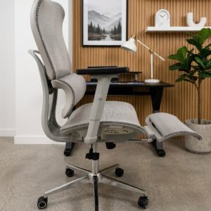 Chaise Ergonomique Cosmos