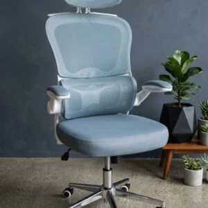 Chaise Ergonomique Royaume